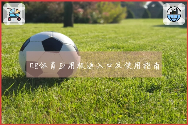 ng体育应用极速入口及使用指南