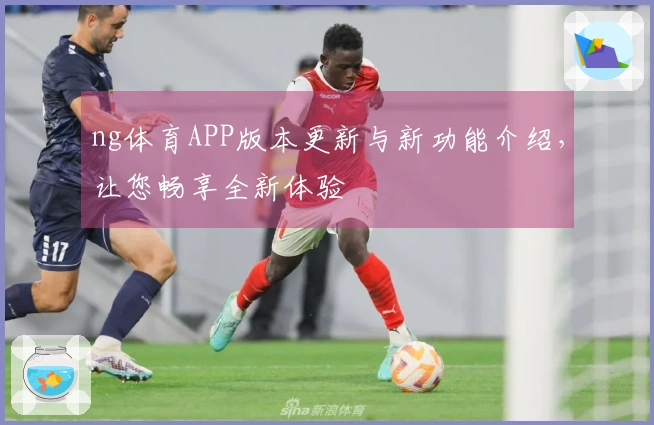 ng体育APP版本更新与新功能介绍，让您畅享全新体验