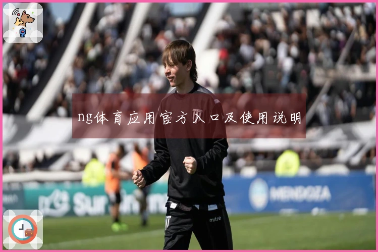 ng体育应用官方入口及使用说明