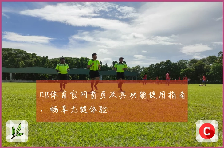 ng体育官网首页及其功能使用指南，畅享无缝体验