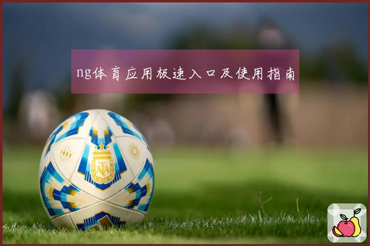 ng体育应用极速入口及使用指南